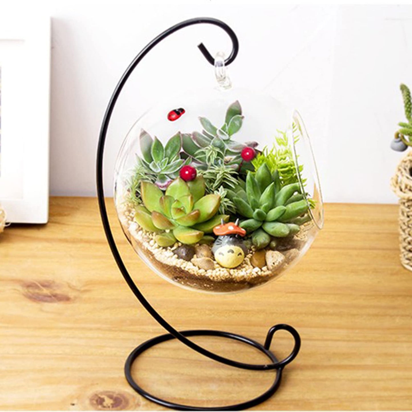 Vistreck Elegant Hanging Glass Vase Terrarium with Iron Frame for Air Plants and Succulents