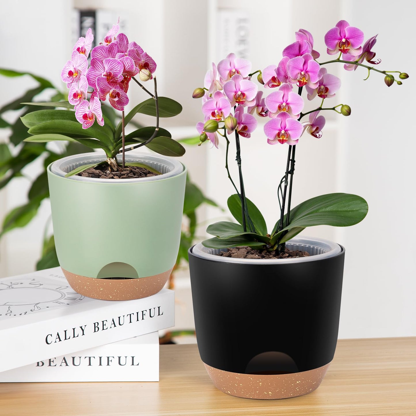 Sxueg Self Watering Orchid Pots for Indoor Plants,5.8 Inch Macetas para Orqudeas,Flower Pots for Indoor Plants with Holes(Black)