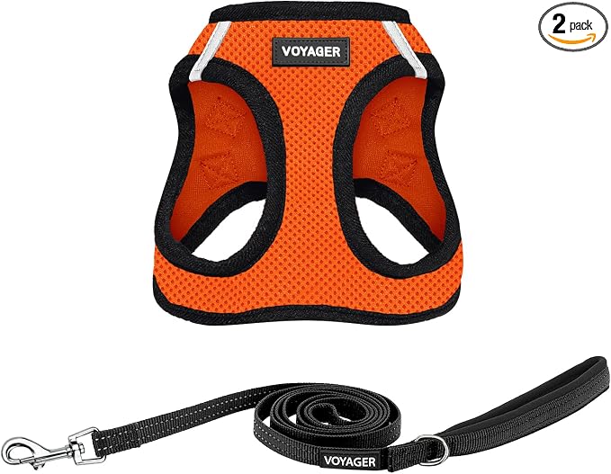 Best Pet Supplies Voyager Step-in Air All Weather Mesh Harness and Reflective Dog 5ft Leash Combo with Neoprene Handle, for Small, Medium and Large Breed Puppies - Orange/Black Trim, XX-Small
