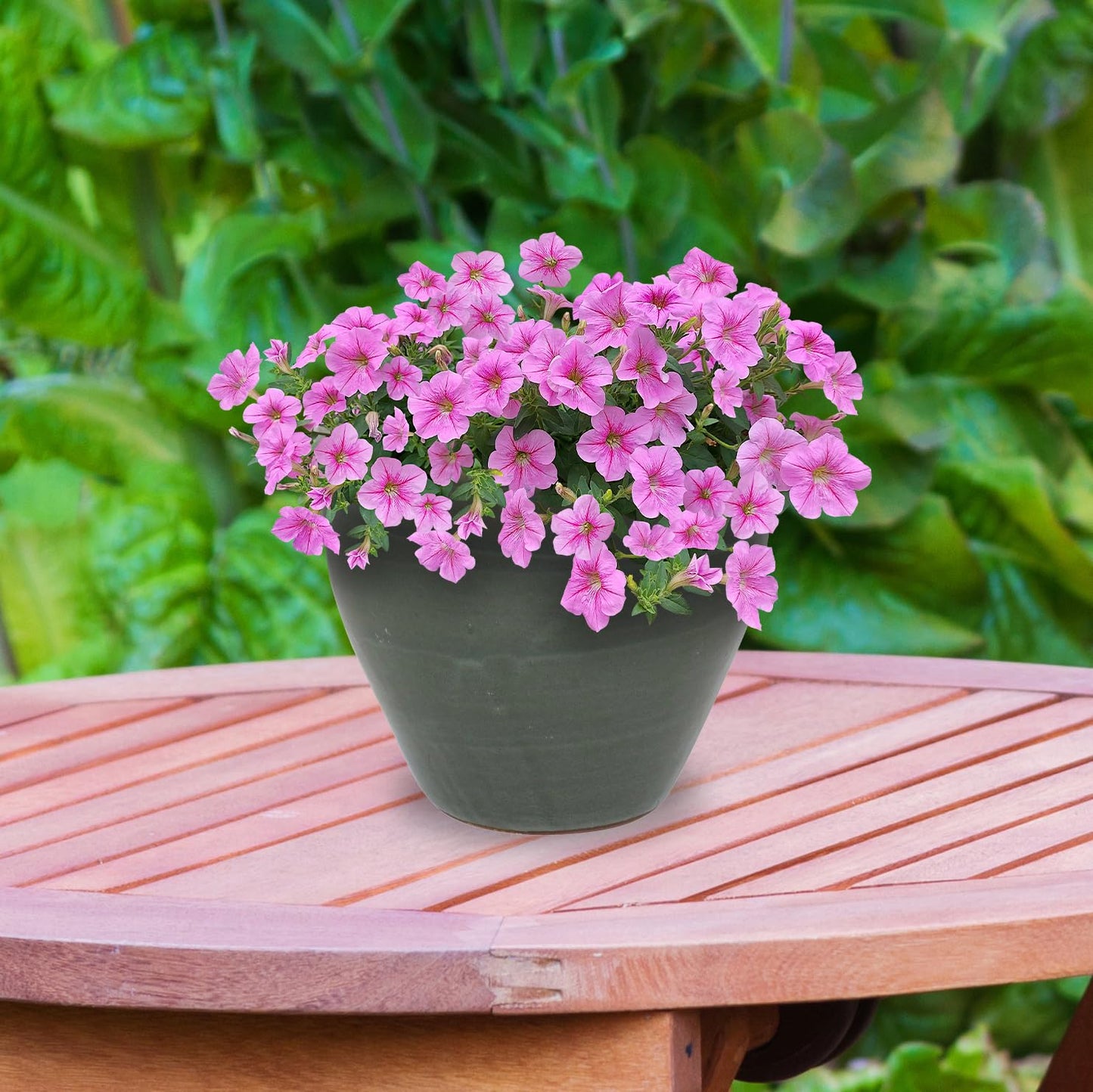 Sunnydaze Large Ceramic Plant Pot - Round Outdoor Glazed Ceramic Planter Pot with Drainage -Resort - Gray - 13.5"