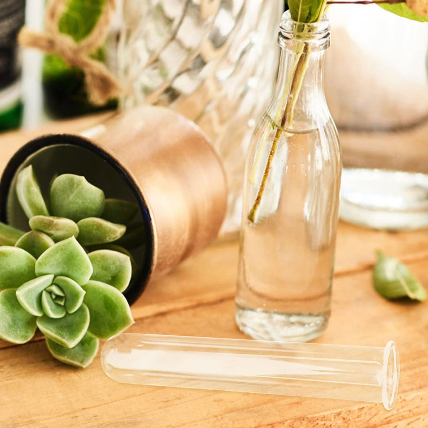 CATIEBYE 5pcs Glass Test Tube Vases for Plant Propagation Small Hydroponic Flower Water Tubes for Home and Office Terrarium Decoration 2.5x3x15cm