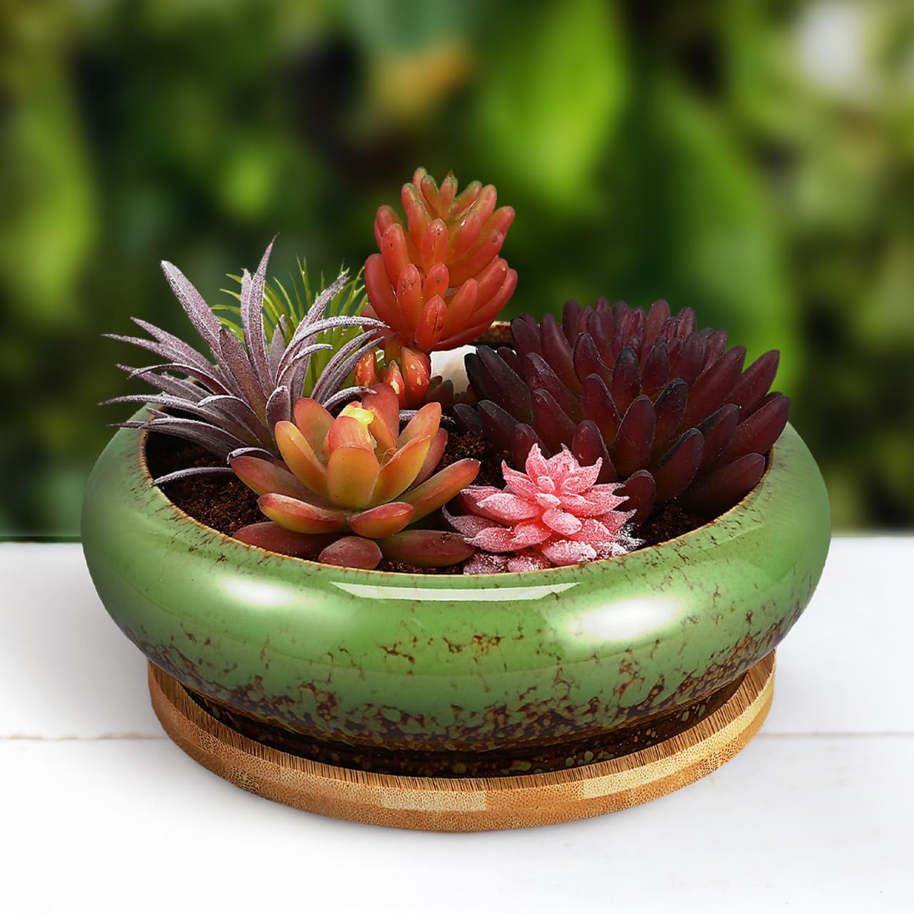 NOLITOY 7 Inch Ceramic Succulent Planter Bowl with Drainage Hole and Tray, Green Round Shallow Flower Pot for Indoor Cactus Arrangements and Office Desk Decor