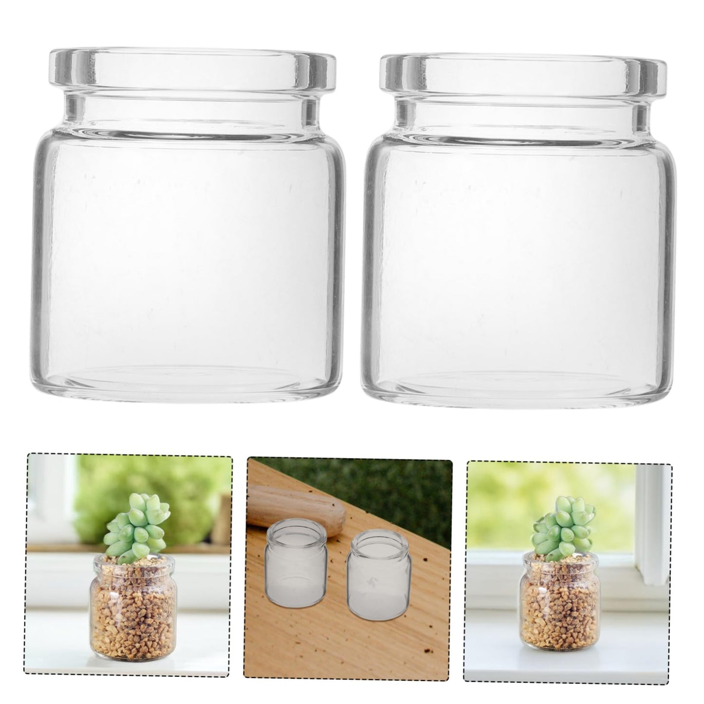 Toyvian 10pcs Elegant Miniature Glass Succulent Vases for Air Plants Display Micro Landscape Bottle Plant Propagation Jars