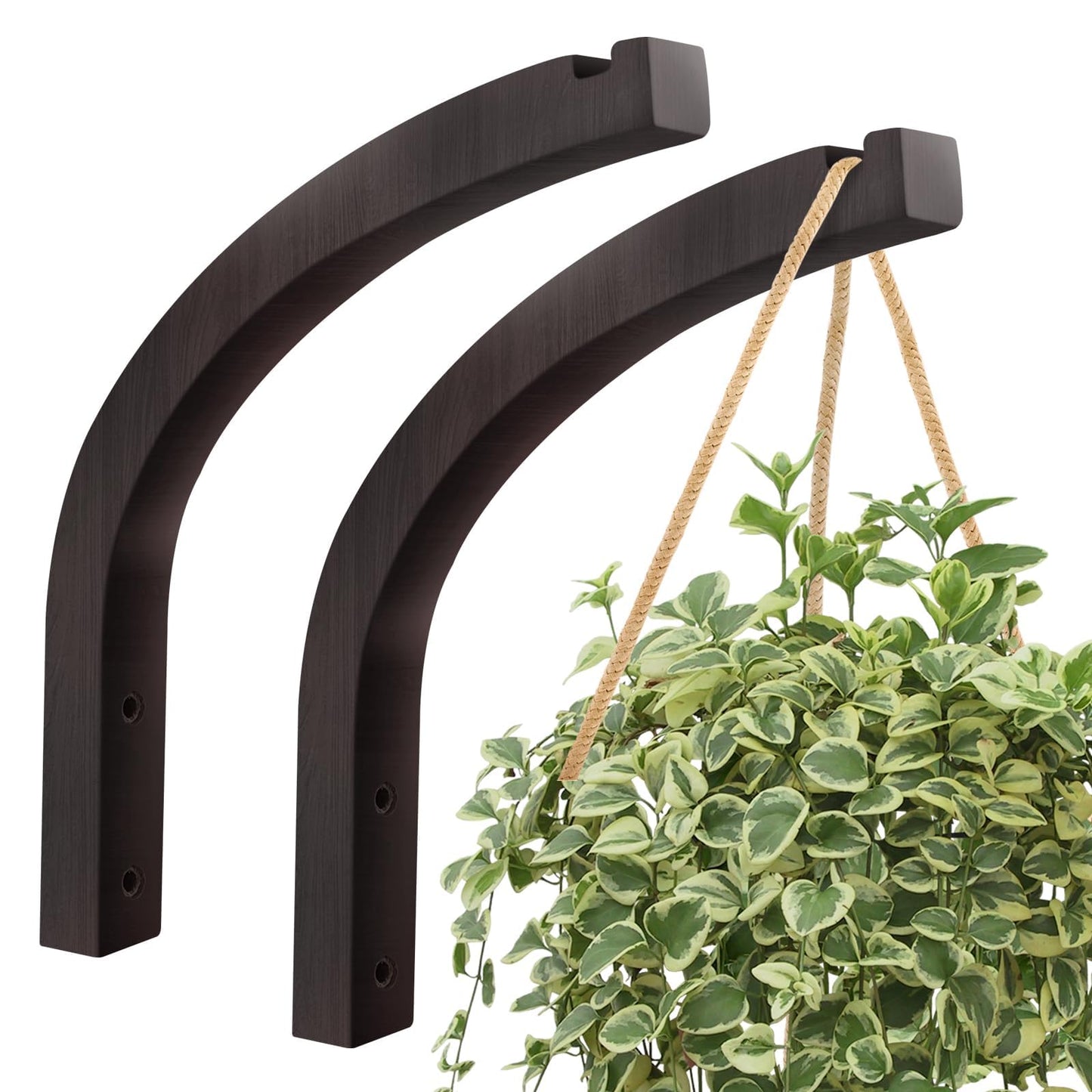DSJIFGEW Stylish Wooden Plant Hanger – 2 Pack, 8-Inch Indoor/Outdoor Wall Hooks for Hanging Planters, Flower Pots, Lanterns, and Wind Chimes – Premium Beech Wood Home Decor