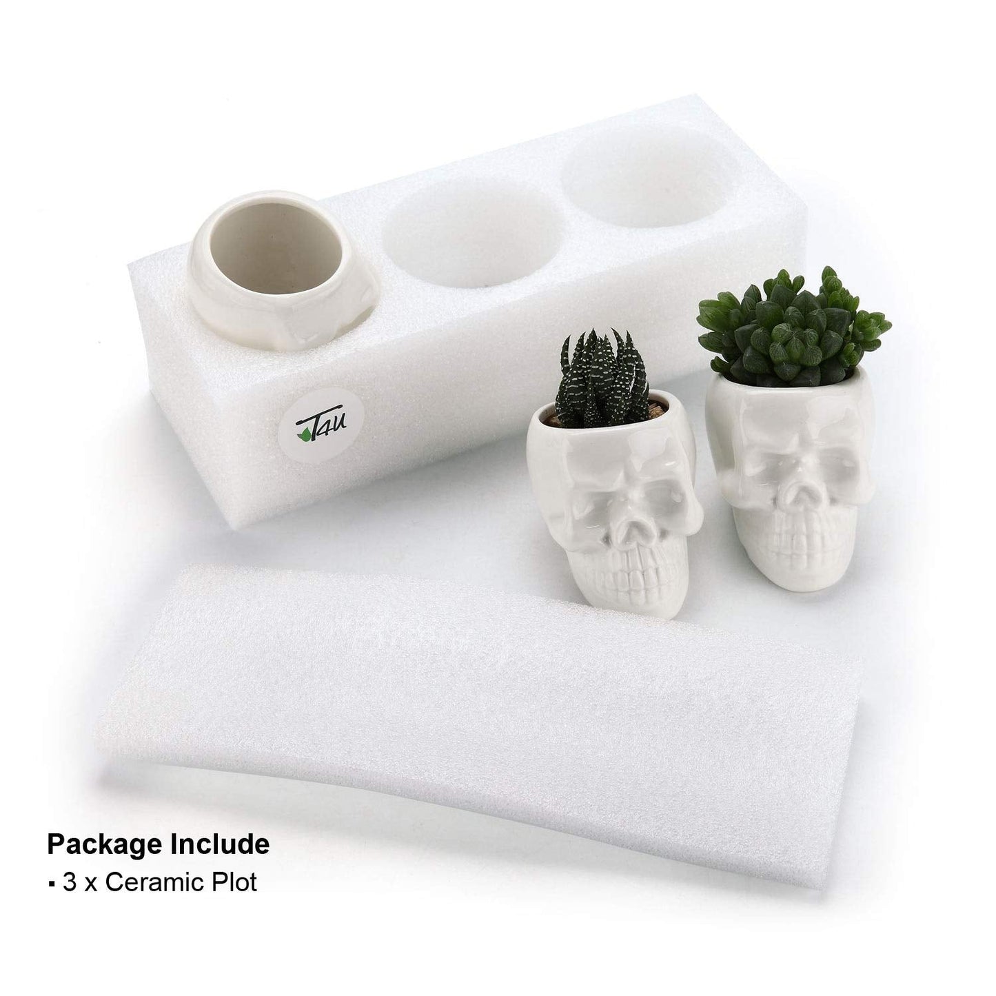 T4U Skull Succulent Planter Pots Set of 3, Gothic Caramic Planter, Creative Plant Lover Gifts for Christmas Birthday House Warming, Cactus Plant Pot Pen Pencil Holder for Home Office Decor, White
