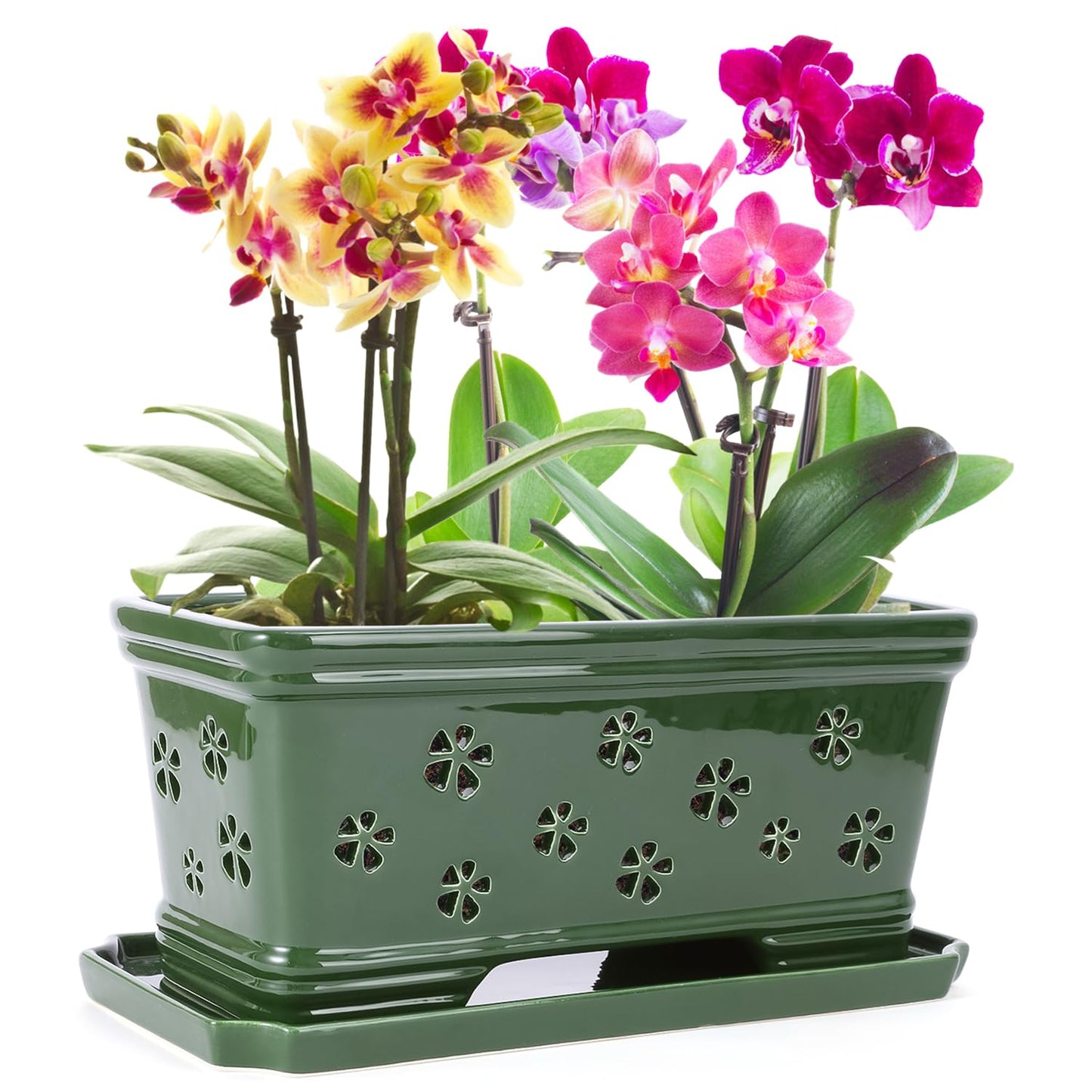 EXQUAILTY Orchid Pot with Holes12 Inch Ceramic Plant Pots with Drainage Holes and Tray, Promoting Air Circulation and Drainage, Indoor/Outdoor Green Flower Pots