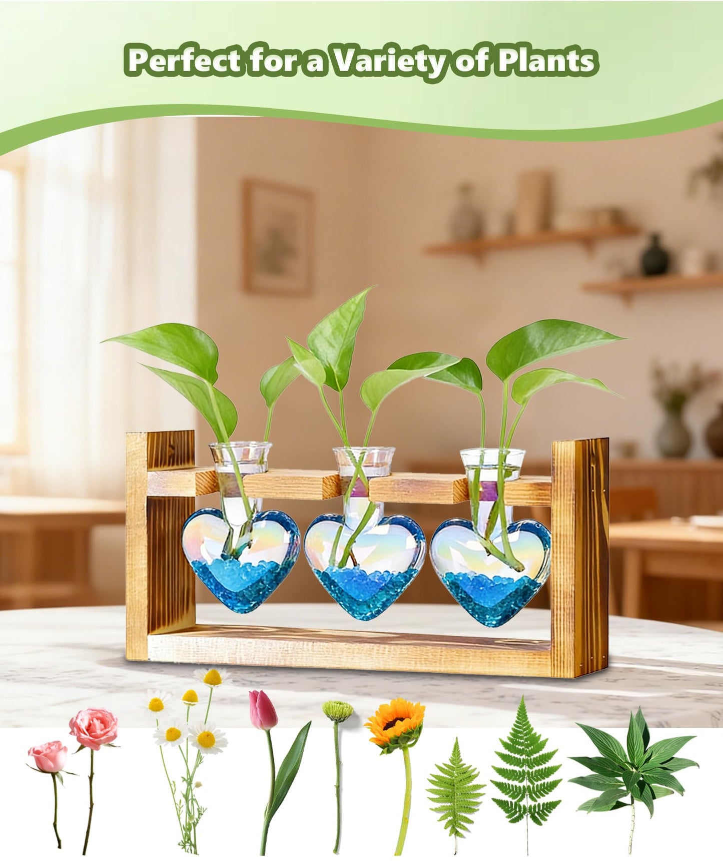 Nacome Plant Terrarium Propagation Stations: Mothers Day Gifts for Mom Plant Lovers Women Wife Daughter - 3 Bulb Glass Vase with Wooden Stand Tabletop for Hydroponics Home Garden Decor(Iridescent)
