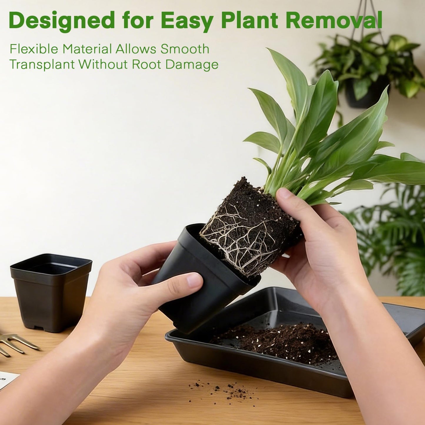 GREANER 4PCS Seed Starting Trays 12 Inch, 60PCS 2.7 Inch Sturdy Seedling Pots with Drain Holes and 20PCS Plant Labels for Indoor&Outdoor Use