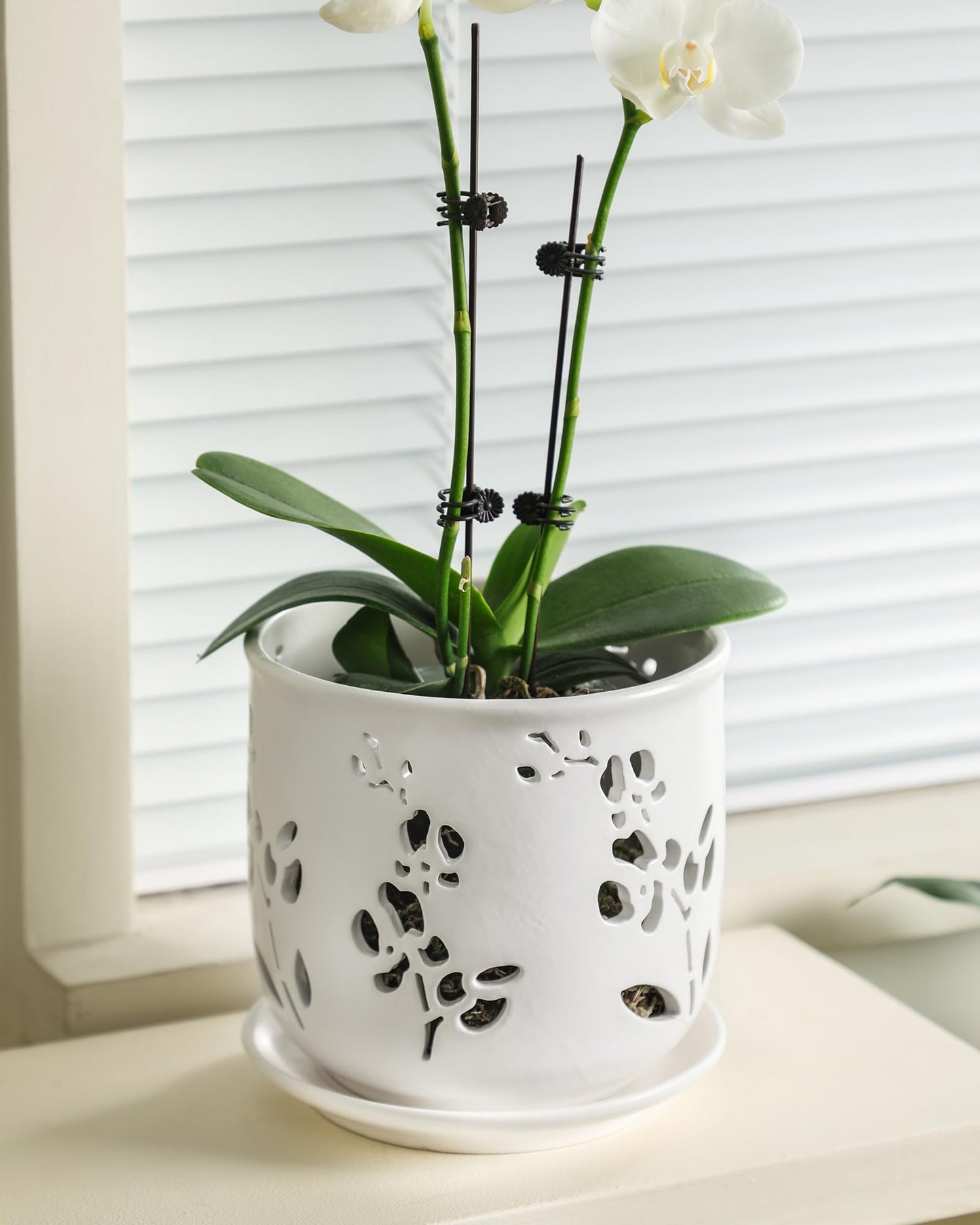 Fayoula Orchid Pots 6.5 Inch Large with Drainage Holes Ensuring Healthy Growth & Easy Repotting, Premium Ceramic for Indoor and Outdoor, Perfect Home Thriving Orchids。