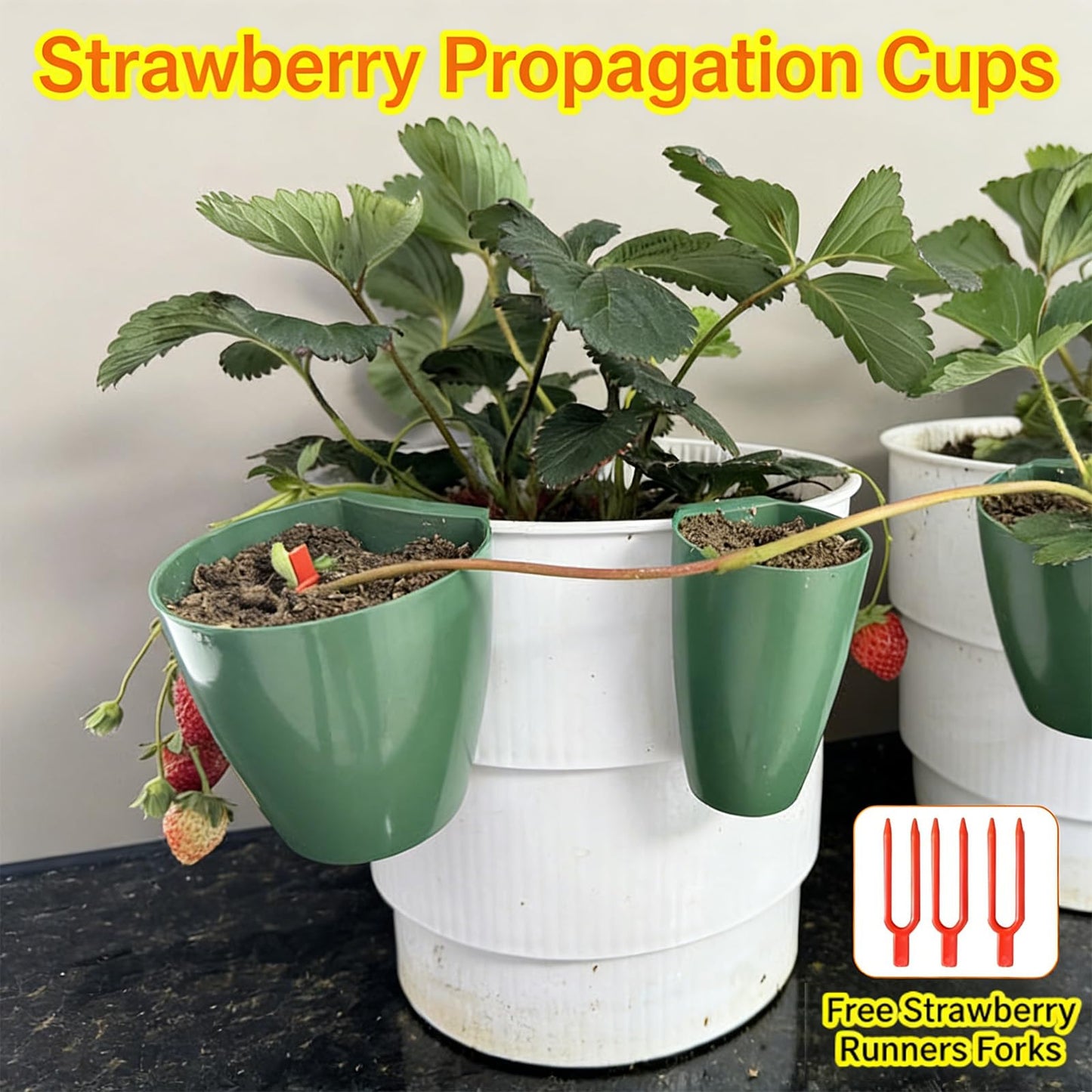 ordinarYone Breathable Strawberry Propagation Cups with Runner Forks for Root Rot and Promoting Growth in High Hu