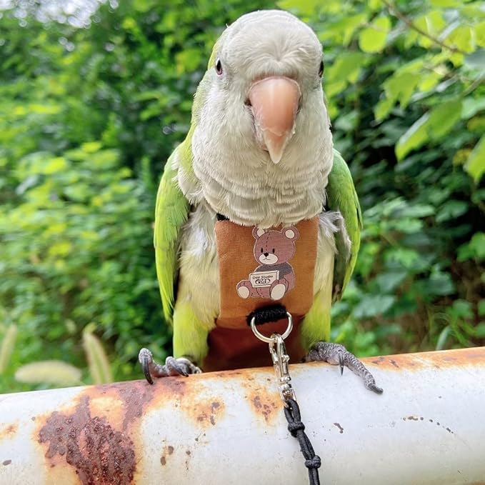Bird Diaper Harness Flight Suit Clothes, Parrot Flight Suit with Leash for Parrot, Bird Flying Clothes with Rope and Handle for Outdoor Activities Training (Lovebird,Without Leash)