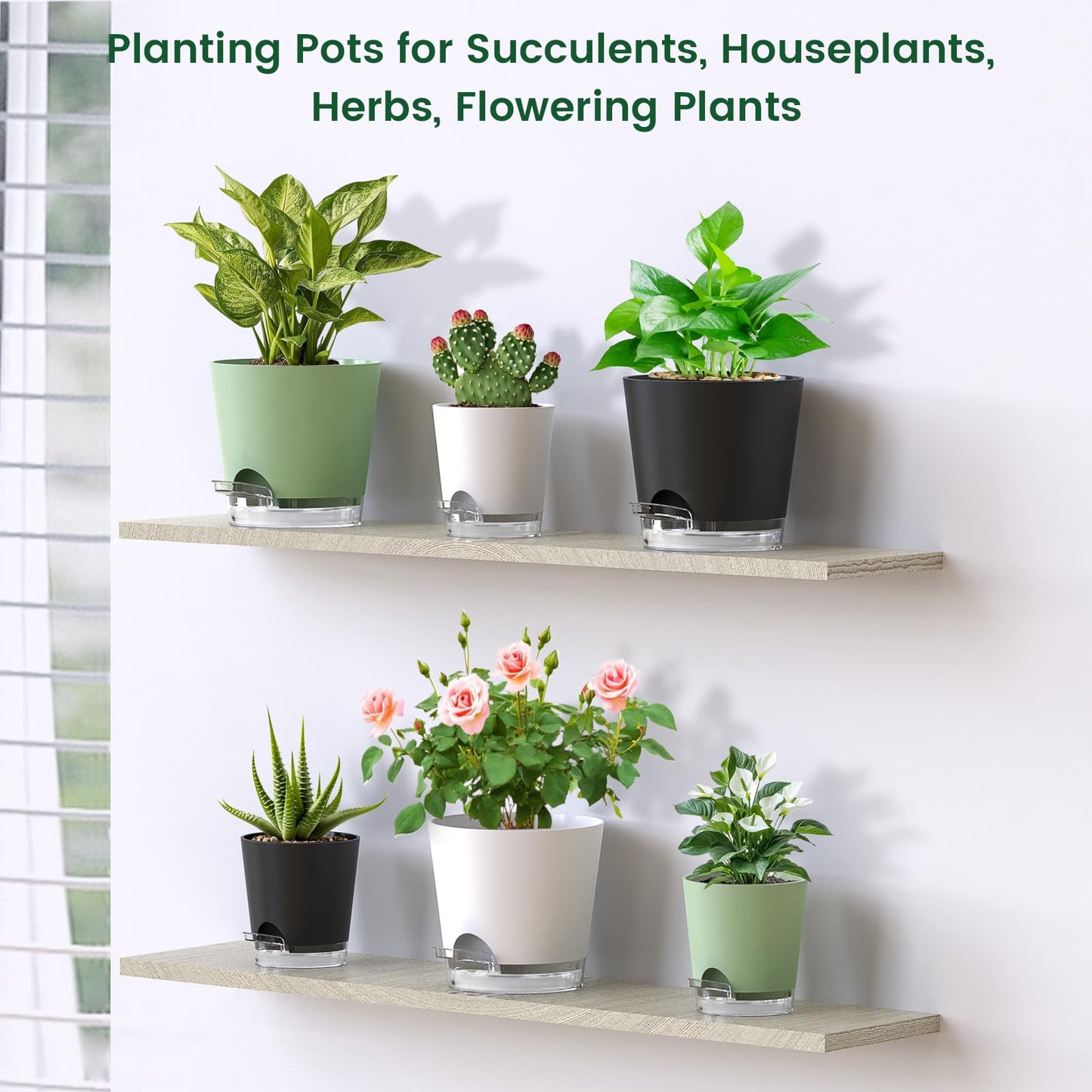 Meowell 6 inch Self Watering Pots for Indoor Outdoor Plants, 6 Pack Flower Plant Pots with Drainage Holes and Clear Reservoirs, Visible Water Level, Plastic Planters with Wicking Rope, Green