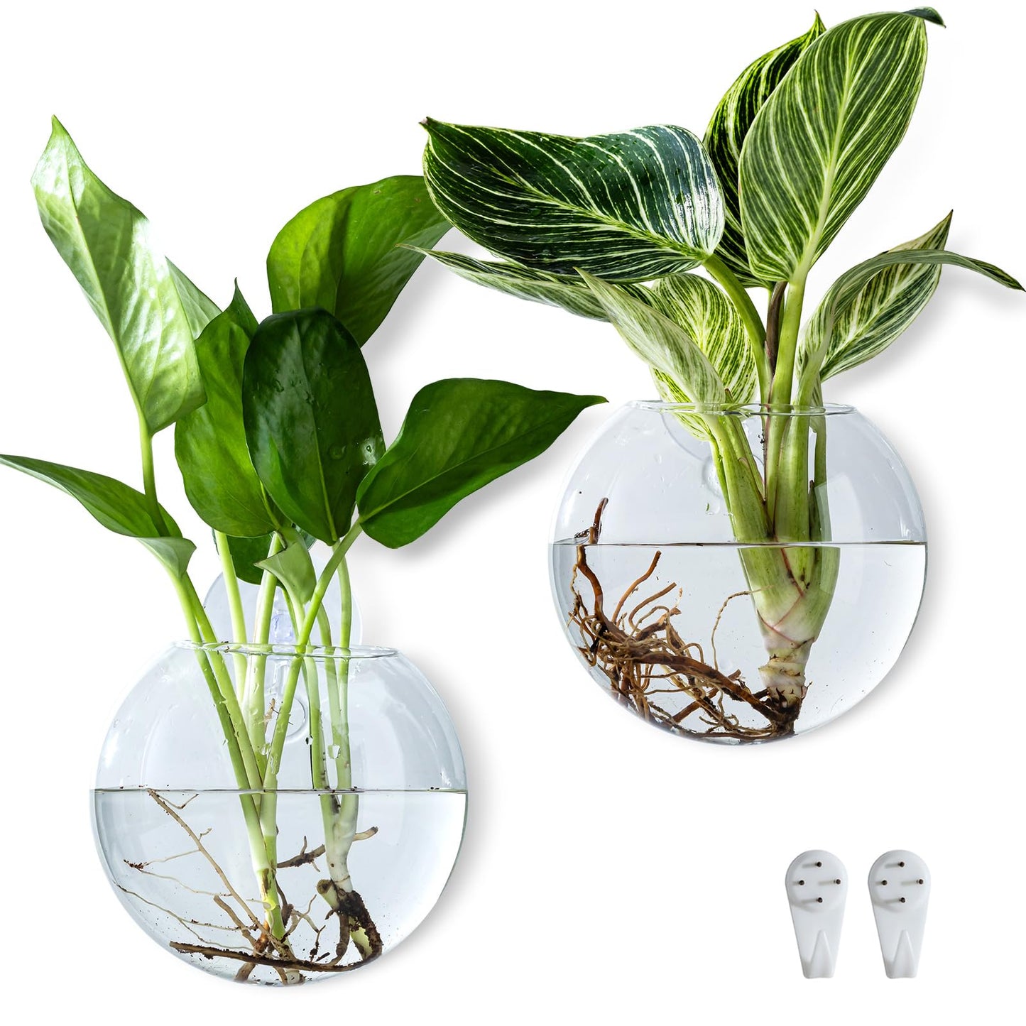 CHPINDAM Wall Hanging Planter Propagation Station, Oblate Glass Flower Vase for Propagation, Wall Planter for Indoor Plants, Modern Home Office Corridor Bathroom Decor (2)