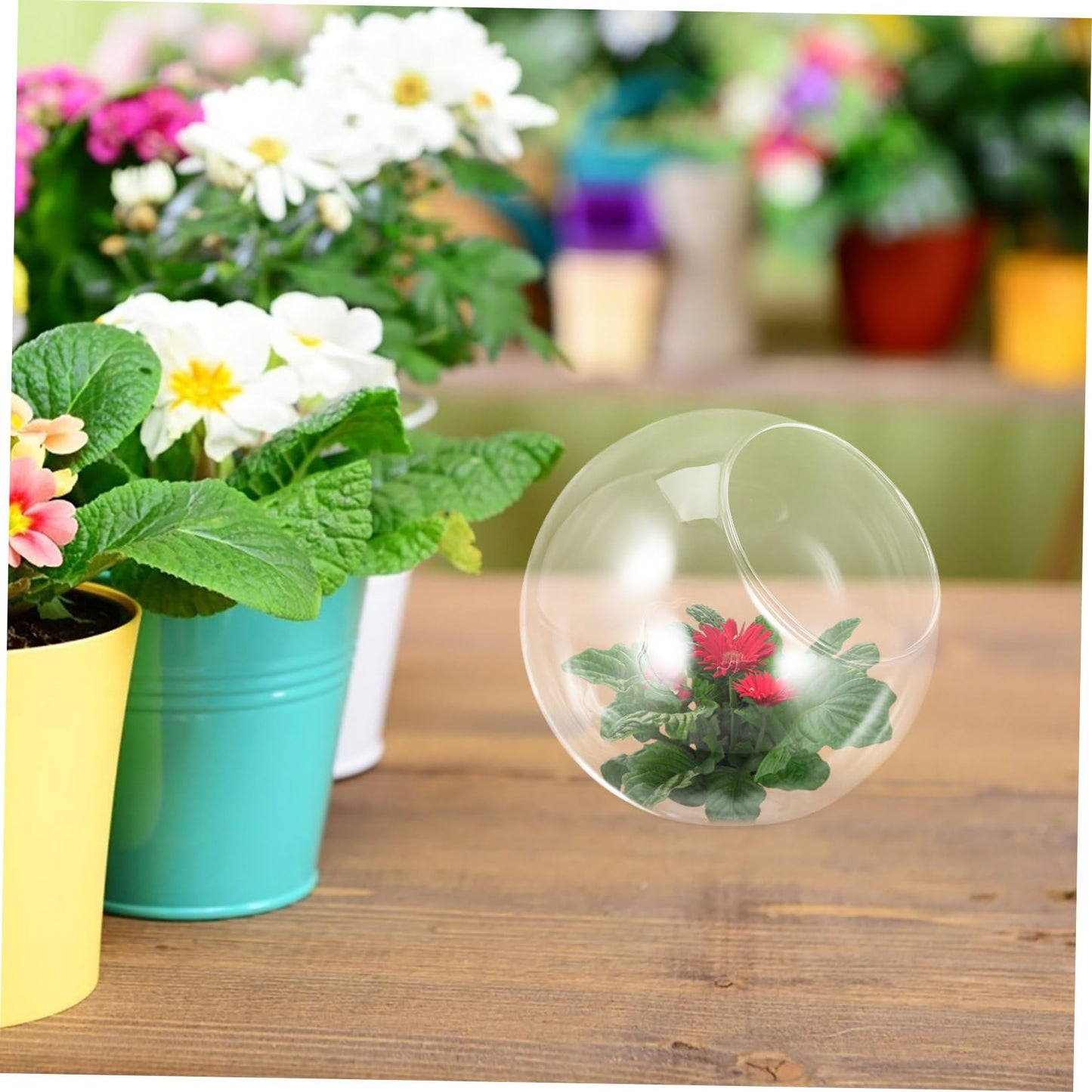 ULTECHNOVO Micro Landscape Glass Vase Oblique Mouth Creative Floral Decor for Weddings Parties and Home for Terrariums and Plant Arrangements