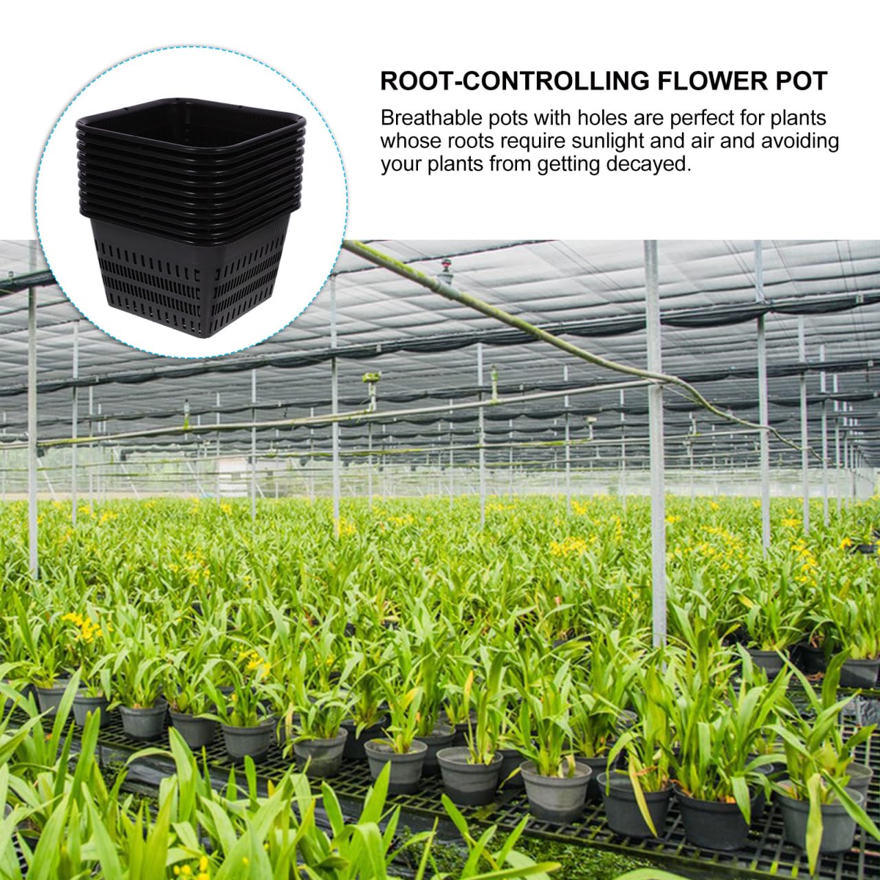 Hemoton Pond Plant Baskets, Heavy Duty Plastic Mesh Net Pots for Aquatic Plant Pot and Hydroponic Baskets in Aquarium Container, 10 Pack
