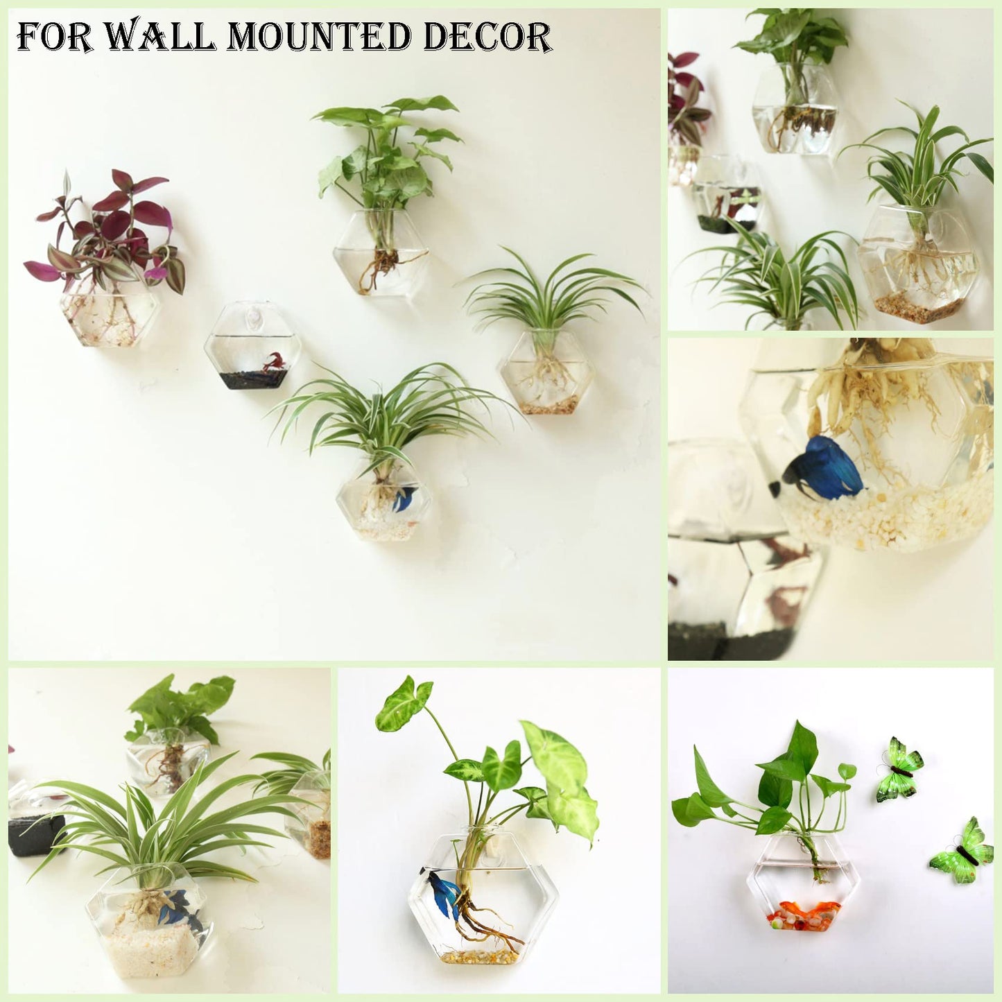 Kingbuy Hexagon Wall Planter Set - 3 Pack Glass Propagation Terrarium Vases with Hanging Mounts for Indoor Plants, Air Plants & Hydroponic Stations Home Office Decor, Plant Lover Gifts (Medium)