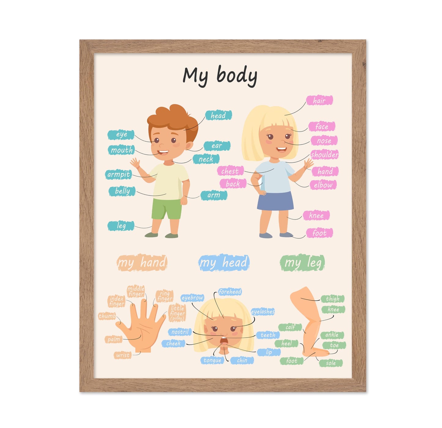 Poster Master My Body Poster - Body Parts Print - Learning Materials Art - Educational Art - Gift for Kids, Students & Teacher - Wall Decor for Playroom, Classroom or Library, 11x14 Beige Framed
