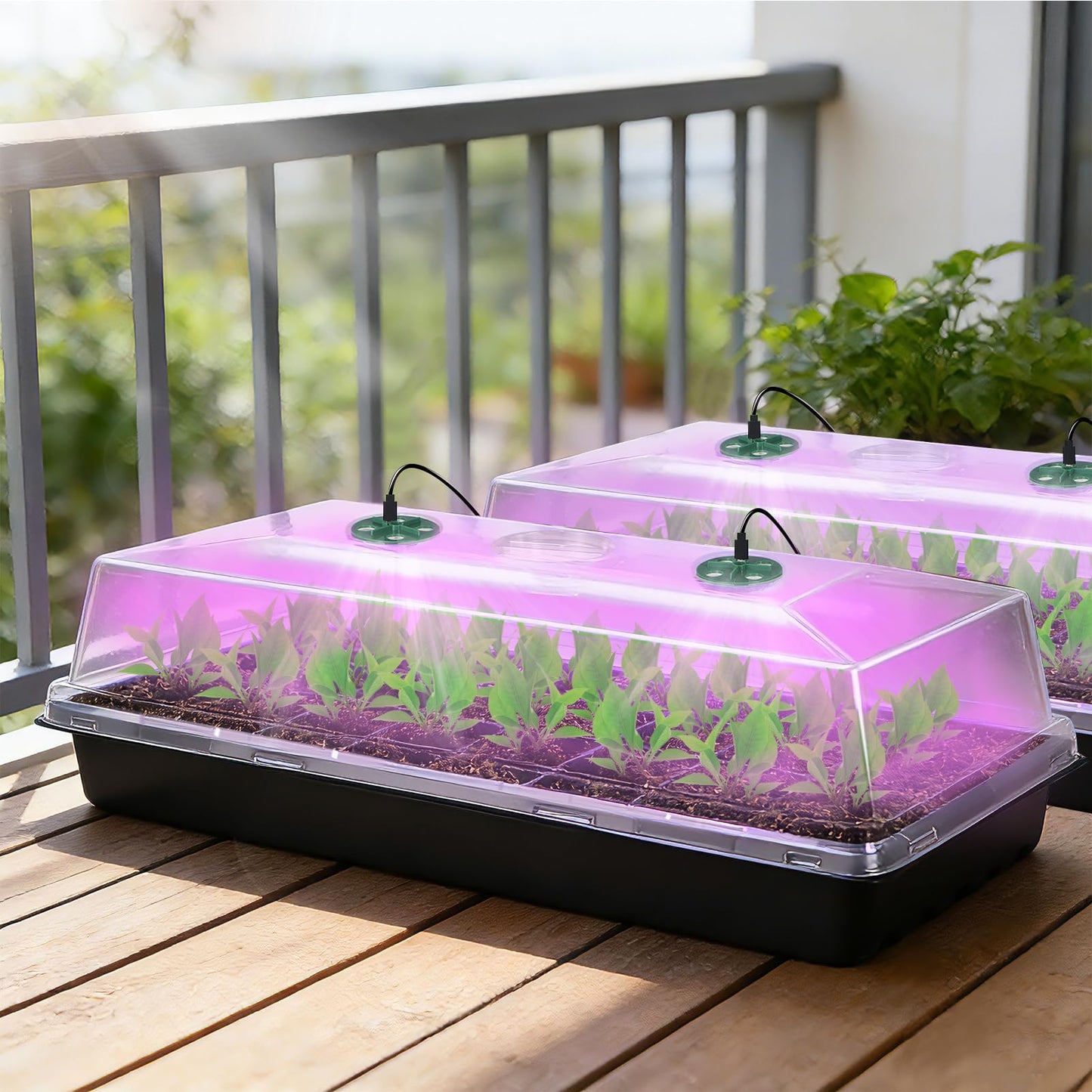 Niuyhe 5 Pack Humidity Dome for 1020 Tray with Grow Light, 21.25"×11.02" Propagation Seed Cloning Lid Adjustable Vented for 10 X 20 Inch Plant Seed Starter Pots