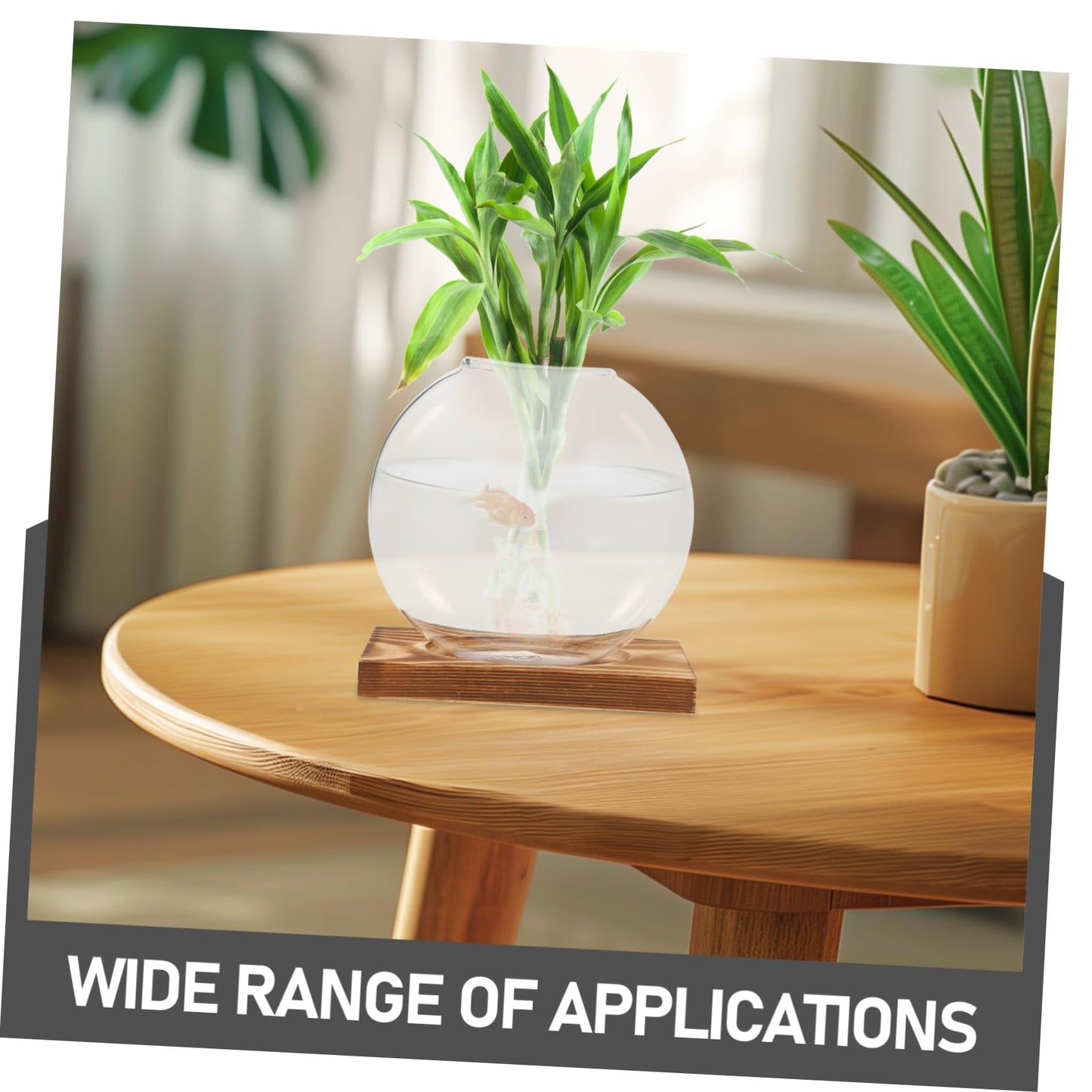 ANDRESLAD Hydroponic Vase with Wooden Base Transparent Glass Plant Propagation Station for Indoor Plants Terrarium Small Desktop Planter Root Observation Decorative Home Decor