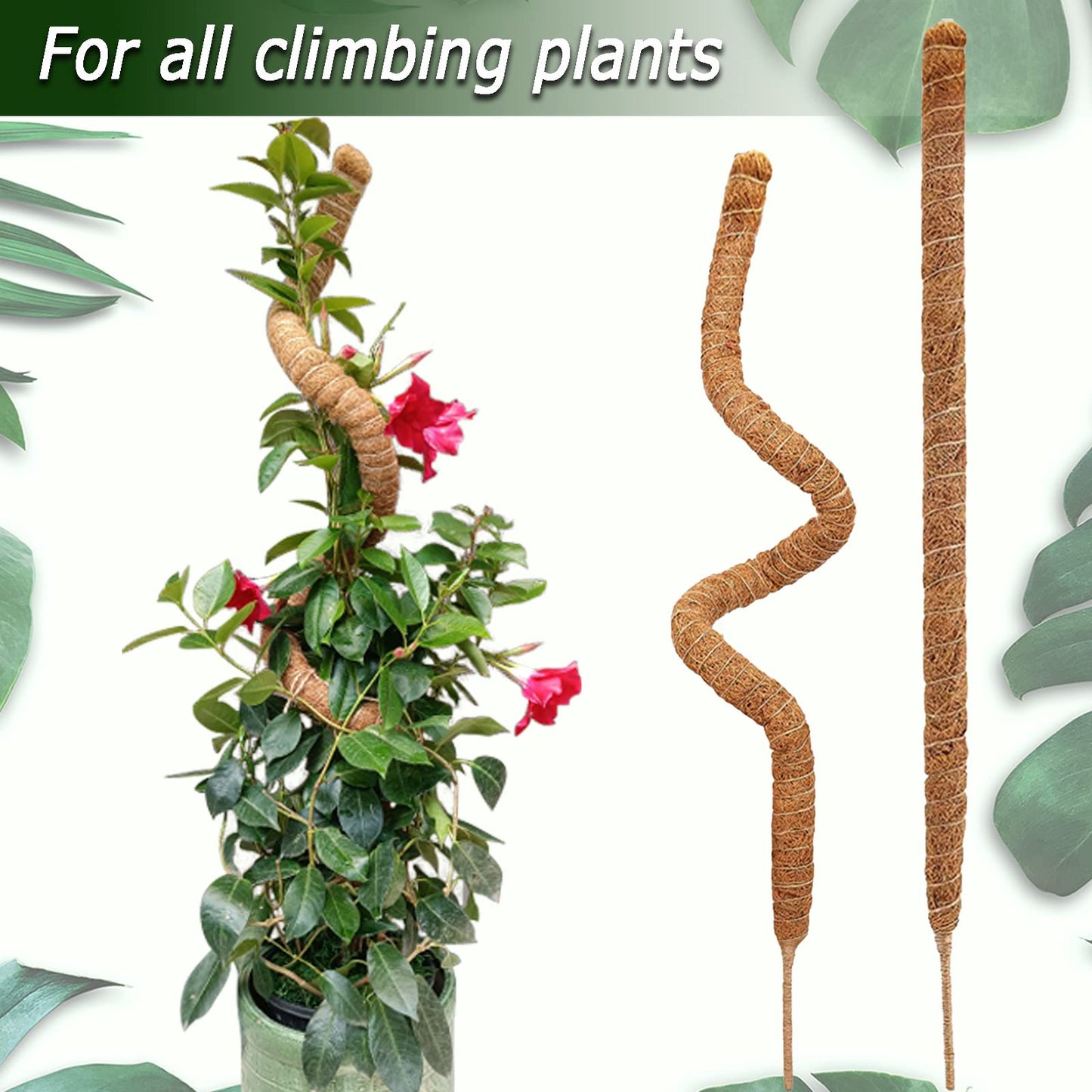Tall Moss Pole Set, 48” and 60” Bendable Moss Pole for Plants Monstera, Moss Poles for Climbing Plants Indoor, Large Coco Coir Plant Pole Sticks Support Stakes for Potted Plants, Pothos