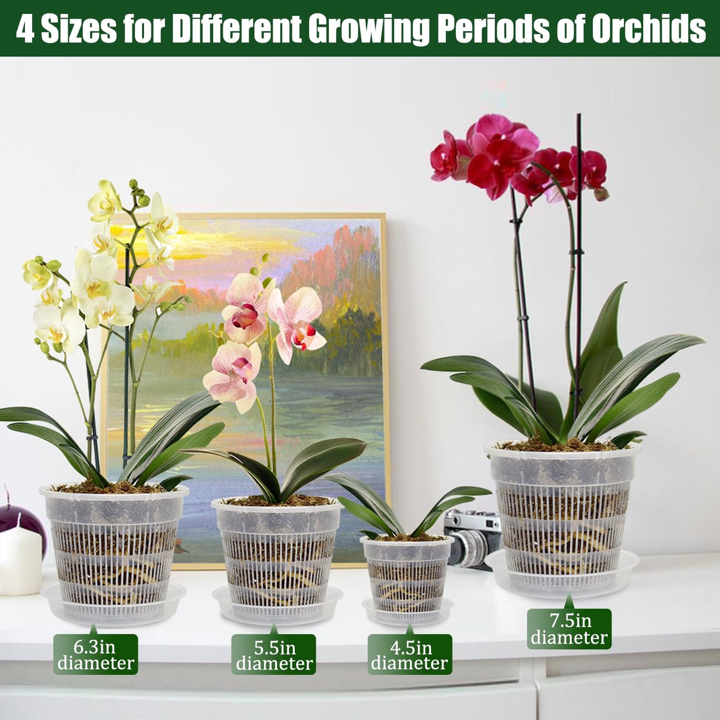 Tialero 12Pcs Orchid Pot, 3 Each of 4.5, 5.5, 6.3 and 7.5 Inch Orchid Pots with Holes and Saucers, Clear Orchid Pots for Repotting, Plastic Plant Pot(3 Each of 4.5,5.5, 6.3,7.5in with Saucers)