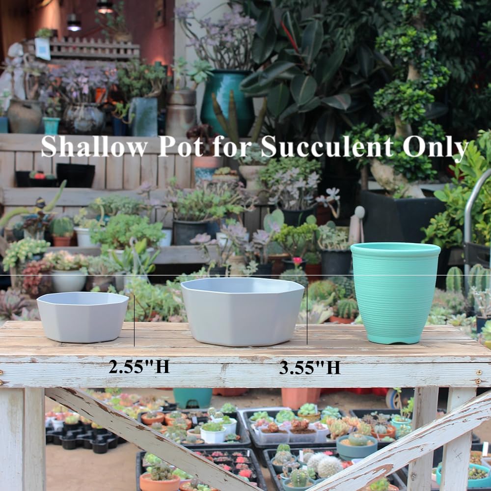 BangQiao 8 Pack 8.00 inch and 5.90 inch Gray Plastic Shallow Plant Pot, Octagon Bowl Planter Container with Pot Tray for Succulents, Cactus