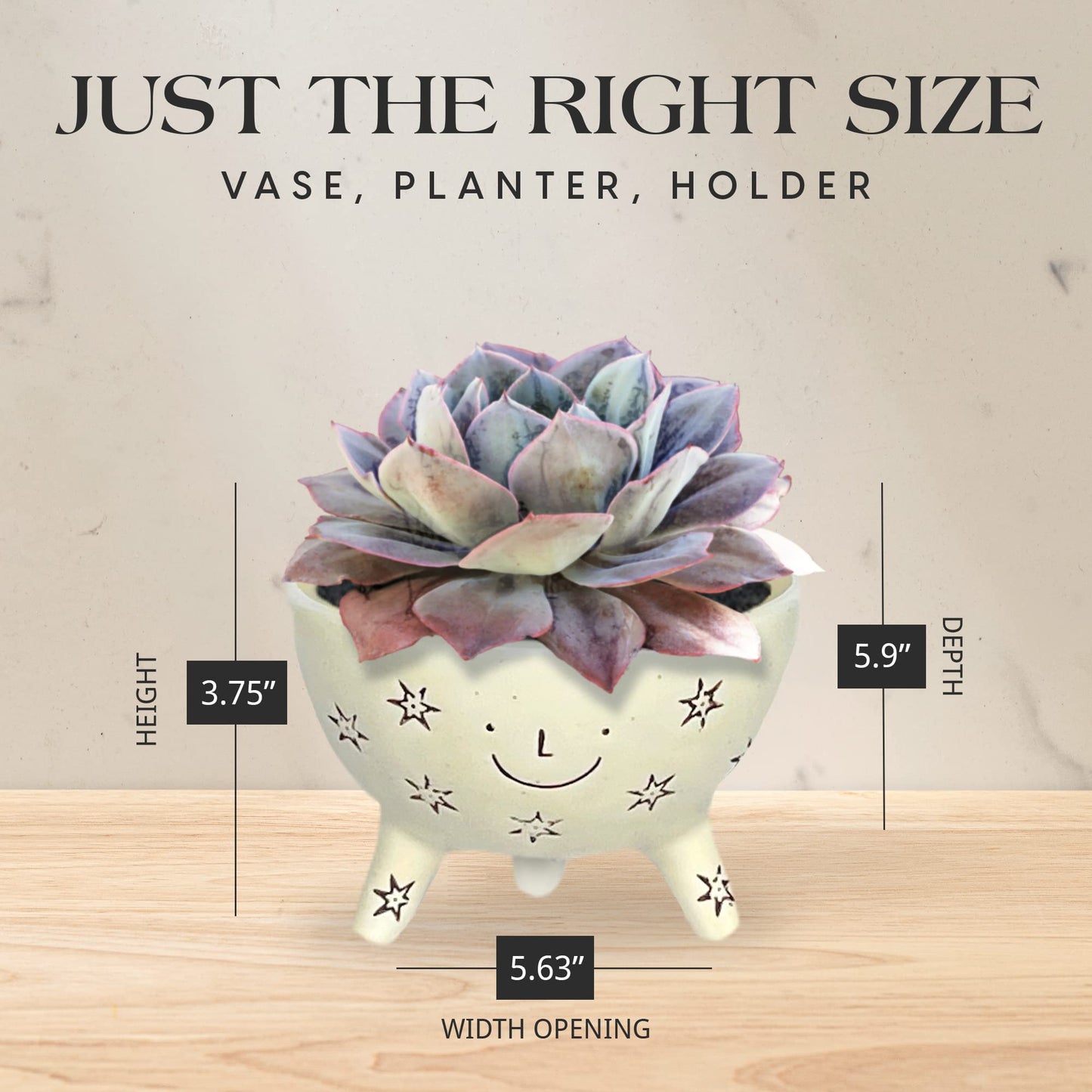 SLS SUPPLY FLORA Facepot Ceramic Planter with a Smiling Face, Succulent and Flower Pot for Home and Office, Cute Plant Vase for Indoor Gardening, 5.63 (W) x 3.75 (H) inches