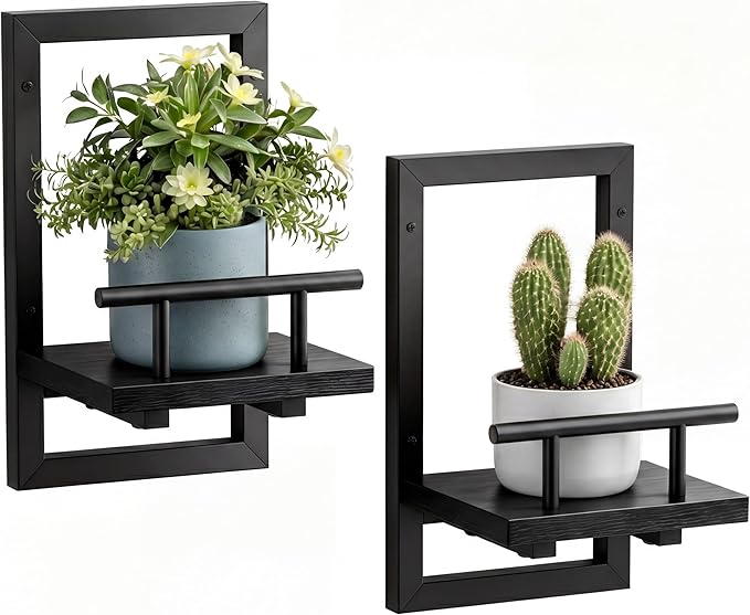 Sbosbo Floating Shelves for Wall, Plant Shelf Indoor, Wall Planters for Indoor