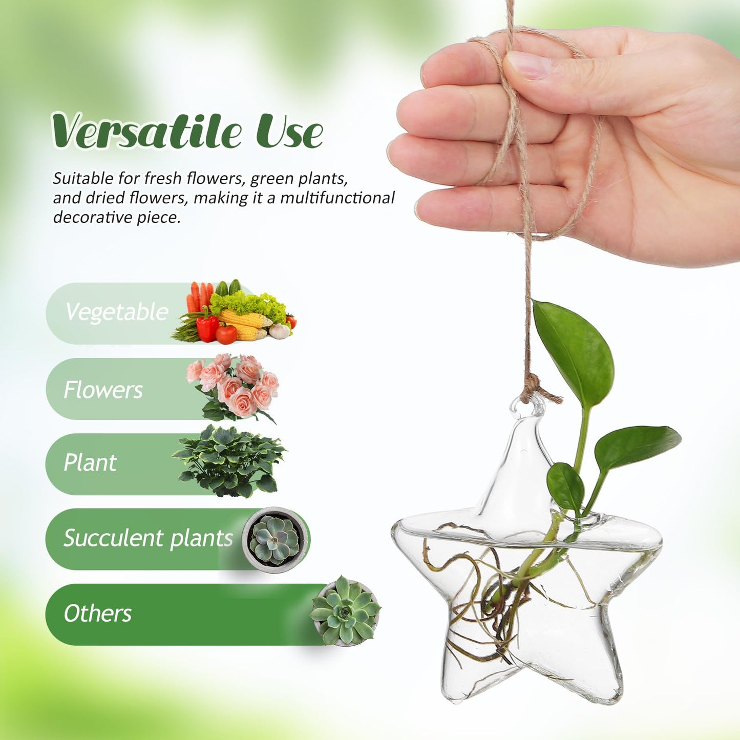 NUOBESTY Hanging Glass Flower Vase Hydroponic Glass Planter Marine Shape Small Terrarium Pot for Indoor Plant Propagation Home Décor