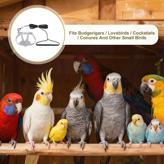 Bird Harness Leash, Adjustable Pet Parrot Bird Harness and Leash Lightweight Anti-Bite Flight Training Rope with Cute Wing, (Gray, M), Intended for Parrots/Pigeons/Budgies