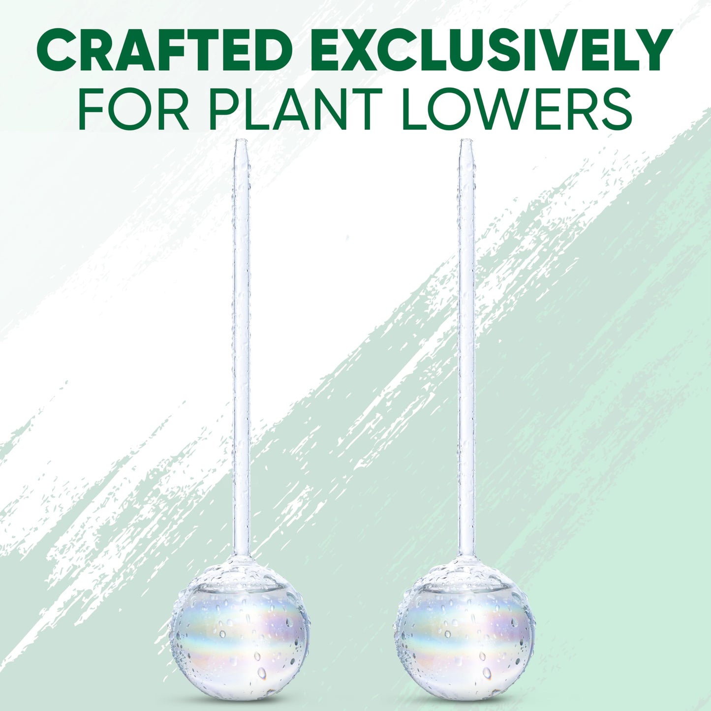 Mission Gallery Clear Plant Watering Globes Set of 2 - Large Self Watering Globes for Indoor & Outdoor Plants - Automatic, Glass Watering Bulbs for Daily Use, Plant Watering Devices