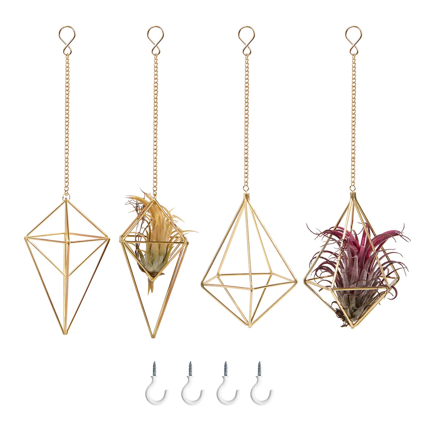 4Pcs Hanging Metal Air Plant Holder with Chain Mini 2 Style Tillandsia Geomitric Airplants Hanger Air Fern Cage Decor for Home and Office