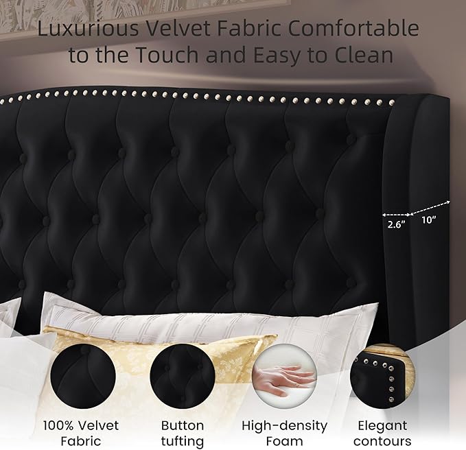 BRELTAM Upholstered Queen Size Bed Frame Velvet Black Tufted Platform Bed Frame