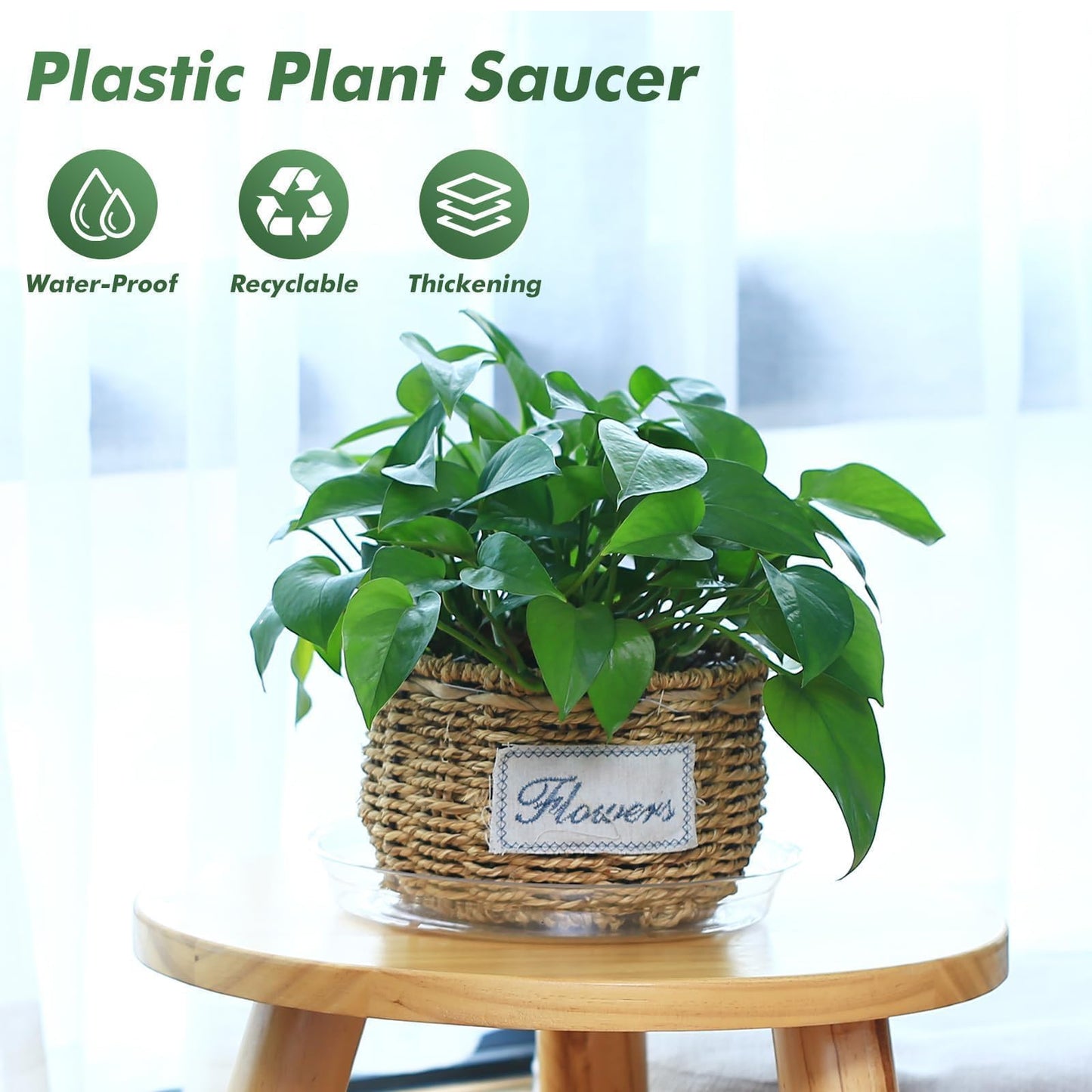 UltraOutlet 40 Pack 4 Inch Plant Saucer Clear Plant Saucers for Indoors Flower Pot Saucers Small Plant Plate Dish Plant Pot Saucers Plant Trays for Pots Bulk