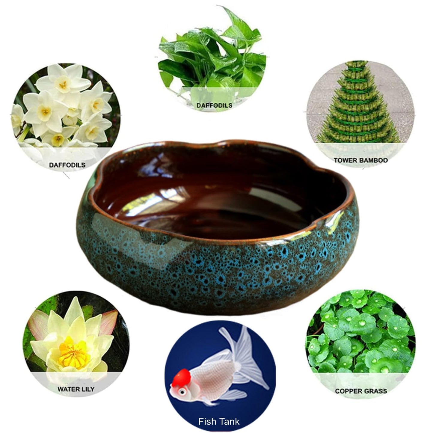 Lotus Bowl Planter, Lotus Bowls for Planting in Water Indoors, Bonsai Bowl Lotus Flower Seeds, Ceramic Planters for Indoor Plants, Leak-Proof Design for Succulent Plants Fish Home Decor (Blue)
