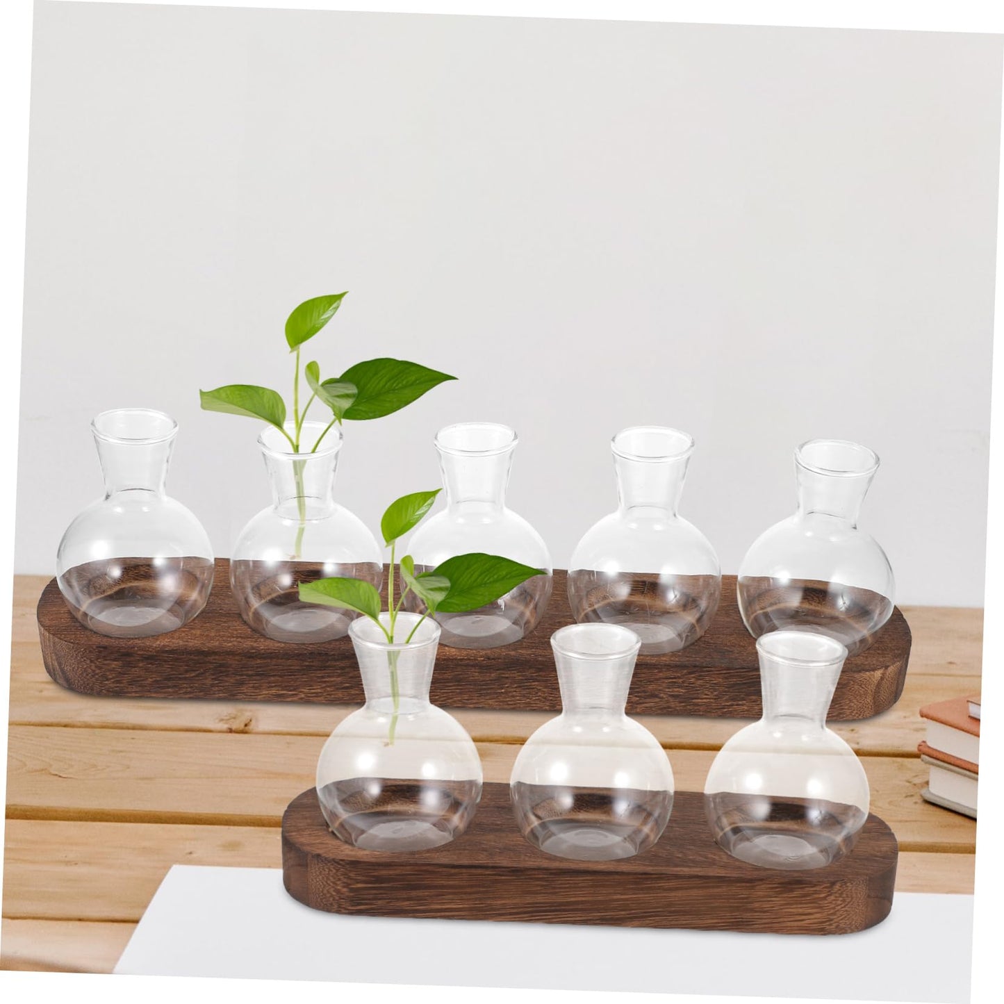 LIOOBO Modern Home Decor Glass Vase Pothos Plant Container Desktop Terrarium Bud Vase Centerpiece