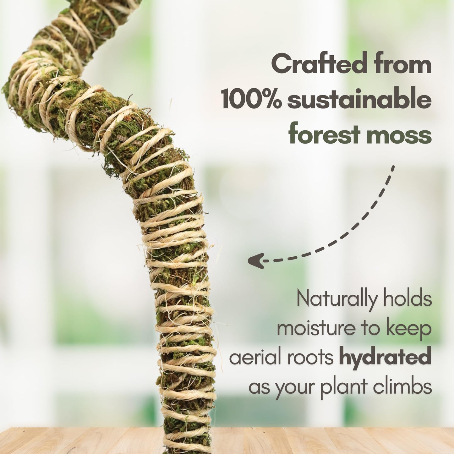 Mossify Bendable Moss Pole for Monstera 3 Pack (16" / 30" / 42") – Flexible Moss Pole Stakes for Indoor Plants – Premium Forest Moss with 3-Prong Stake System – Indoor & Outdoor Plant Trellis Set