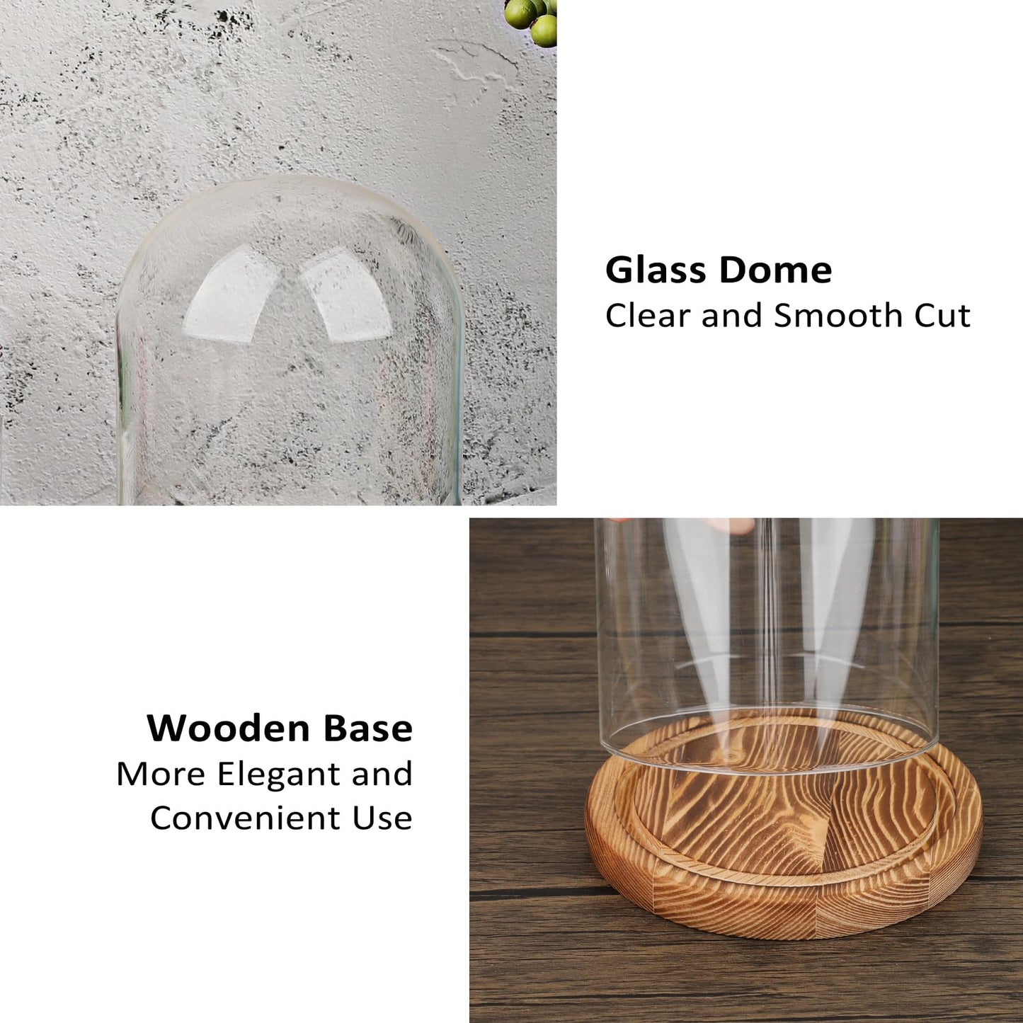 JUXYES Glass Display Dome Cloche with Solid Wood Base, Clear Dome Bell Terrarium Jar Glass Cloche Bell Jar Display for Plants, Collectibles and Figurines