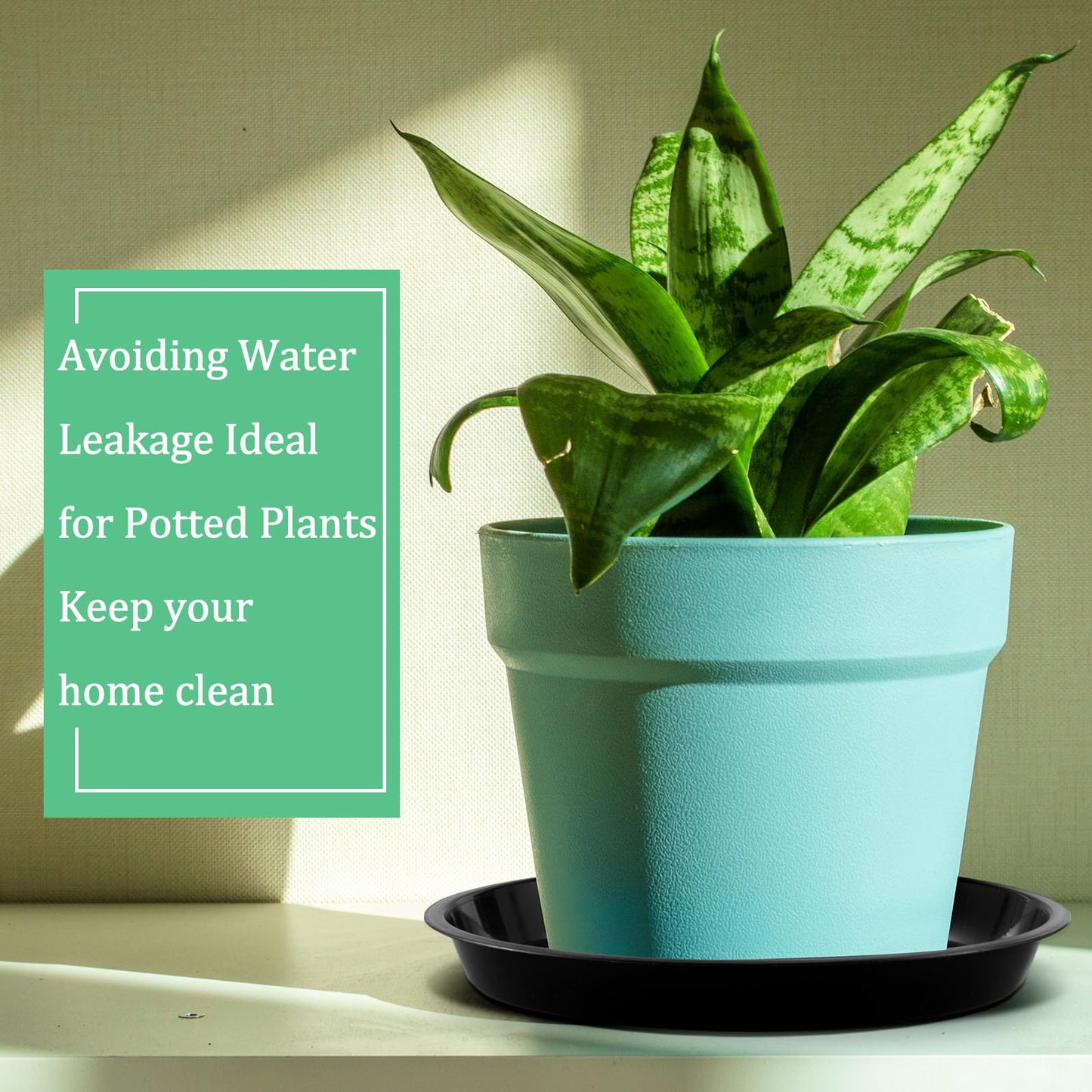 Eccliy 10 Packs 10 Inch Plastic Large Plant Saucers Heavy Duty Planter Trays Jumbo Flower Pot Saucers Plastic Water Trays for Indoors and Outdoors