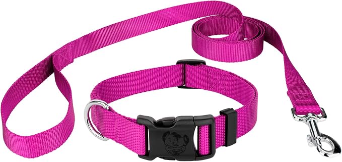 Country Brook Petz - Deluxe Nylon Dog Collar and Leash - 10+ Cool Colors (1 Inch, Large, Fuchsia)