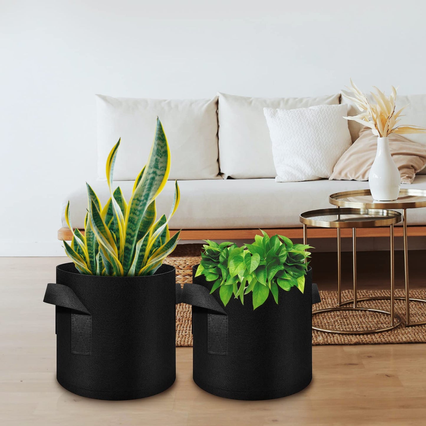 WHATWEARS 12-Pack 5 Gallon Plant Grow Bags, Thickened Nonwoven Fabric Pots with Handles, Vegetable Planter Bags Containers, Cloth Planters for Garden Vegetable/Flower/Plant/Fruits Outdoor (Black)