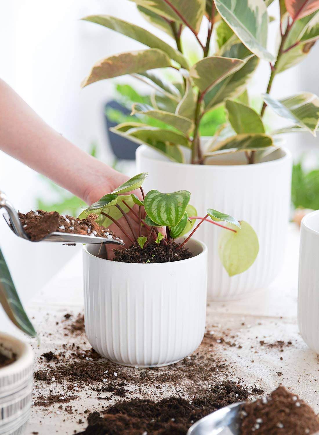 LE TAUCI Ceramic Planters, 8.3/7/6 Inch Indoor Pots for Plants with Drainage Holes & Mesh, Modern Matte Glaze Cylinder Fluted Plant Pot for Snake Plant, Set of 3, White