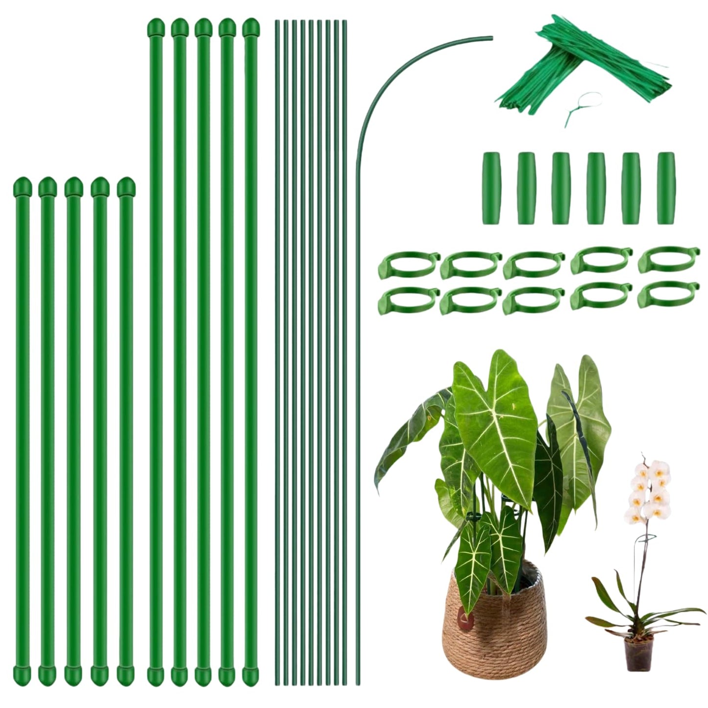 Plant Sticks Support Tall, 56Pcs Extendable Plants Stakes, Sturdy Monstera Plant Support, Natural Stakes for Indoor Plants Begonia Orchid Tomato