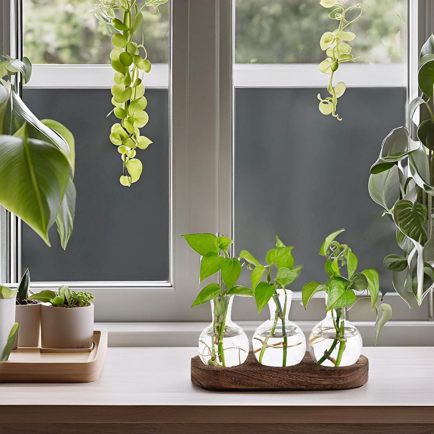 Mkono Desktop Plant Propagation Station Glass Planter Terrarium with Wooden Tray Bulb Flower Vase Perfect for Propagating Hydroponic Plants Home Office Decor Plant Lover Gift Idea