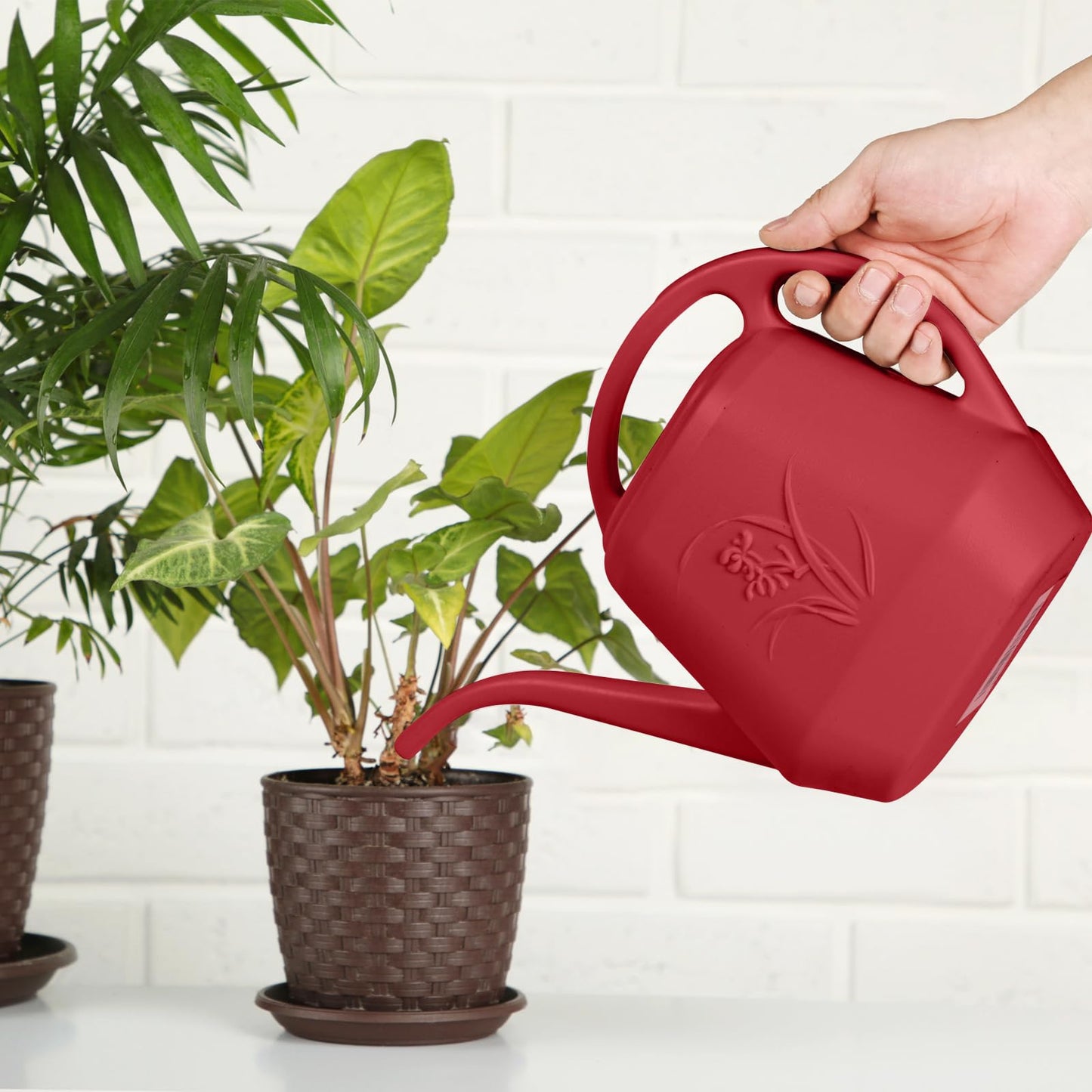 ZXJ Plant Watering Can - for Indoor and Outdoor Home Garden Plants - with Long Spout - Wine Red - 1/2 Gallon