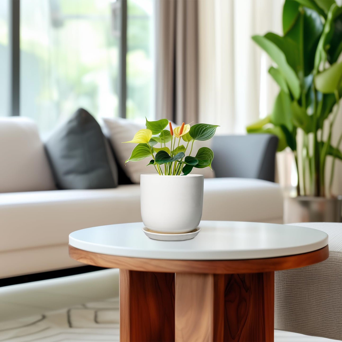SUNPOTFOR Indoor Plant Pot 5 Inch - Round Ceramic Planter for Succulent Plants with Drainage Hole and Saucer, Modern Home Decor, White