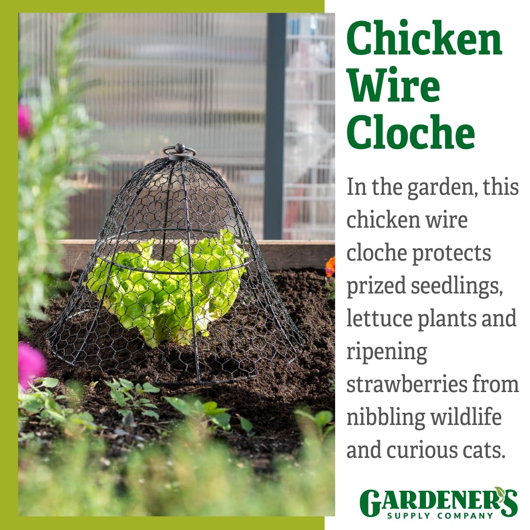 Gardener’s Supply Company Sturdy Chicken Wire Cloche Plant Protector Cover | Sturdy Metal Cage Garden Protection for Your Plants & Seedlings | 16" in Diameter x 12-1/2" H - Black