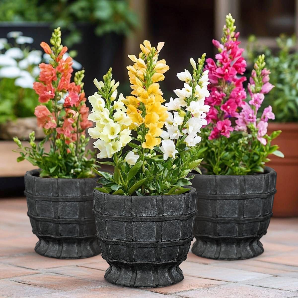 6" Black Ceramic Plant Pots with Drainage Hole, Rustic Flower Pots for Indoor Plants, Outdoor Decorative Ceramic Planters Small Plant Pot for Succulents, Cactus, Herbs, Orchids, Snake Plant Pot