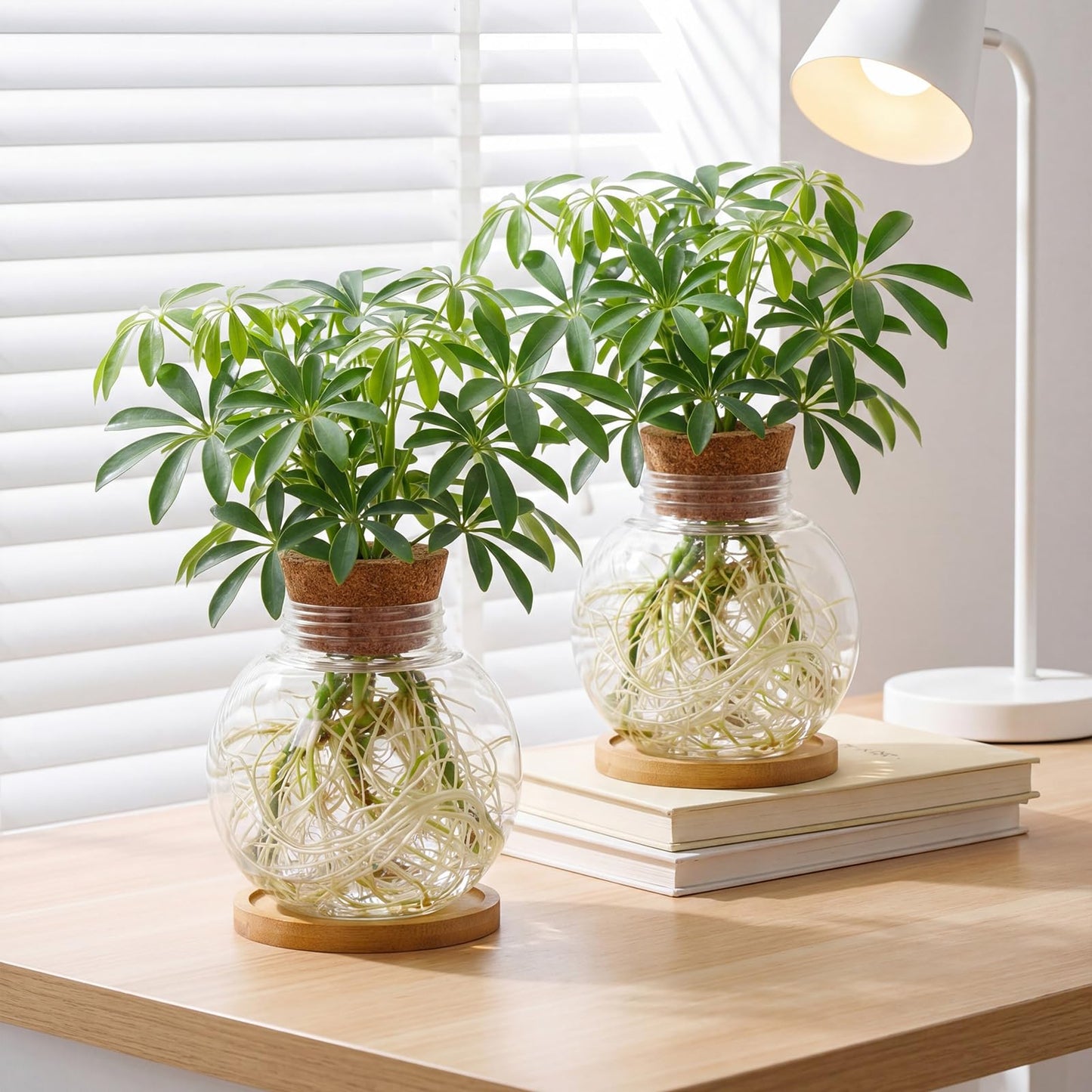 Ripeng 6 Pack Propagation Vases for Plants Plastic Large Plant Propagation Station with Hole Lid and Cork Coasters Growing in Water Hydroponic Home Office Table Garden Kitchen Decor, 4.06 x 3.98 Inch
