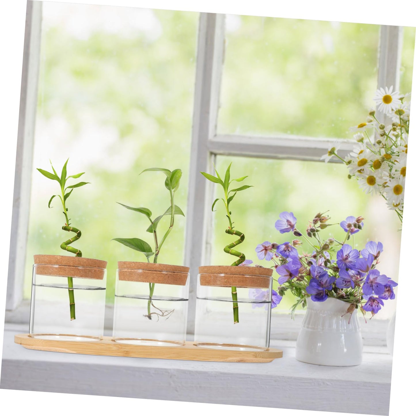 Sosoport Glass Plant Vase for Terrarium Air Plant Holders Houseplants Hydroponics Planting Vase